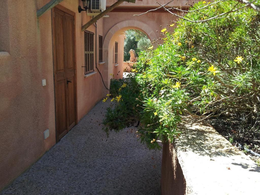 Agroturisme Es Picot Son Macia  Room photo